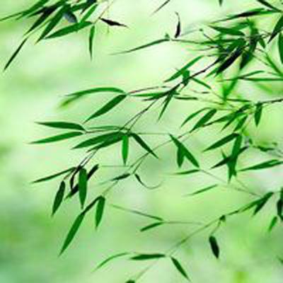 泡泡糖大作战游戏下载